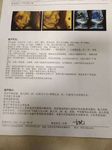 journal_insert_pic_1684352615