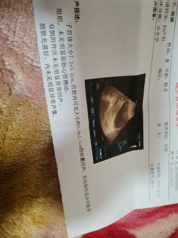 journal_insert_pic_1685389625