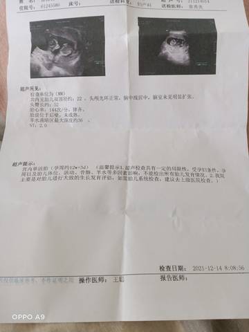 journal_insert_pic_1679541118