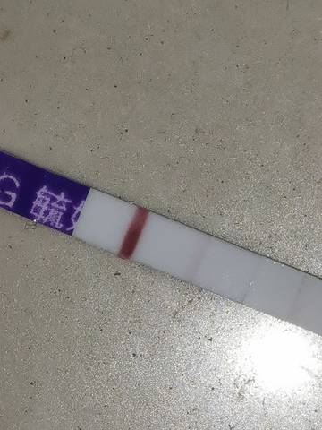 journal_insert_pic_1689310138