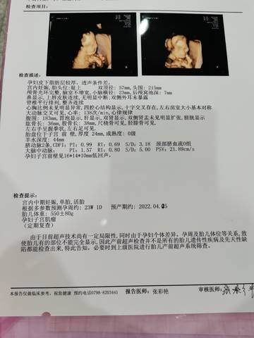 journal_insert_pic_1676025780