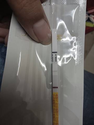 journal_insert_pic_1685375841