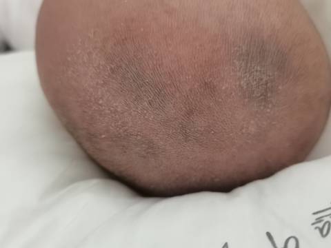 journal_insert_pic_1673457087