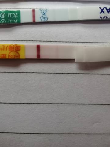 journal_insert_pic_1685378317