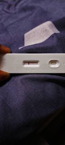 journal_insert_pic_1719795964