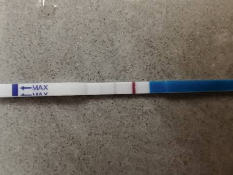 journal_insert_pic_1683477191