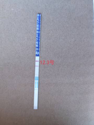 journal_insert_pic_1675252288