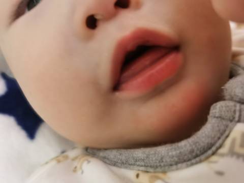 journal_insert_pic_1686660649