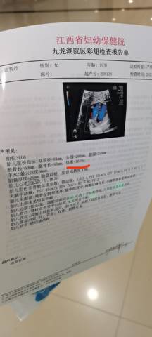 journal_insert_pic_1690043660