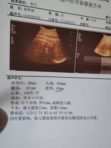 journal_insert_pic_1687821175