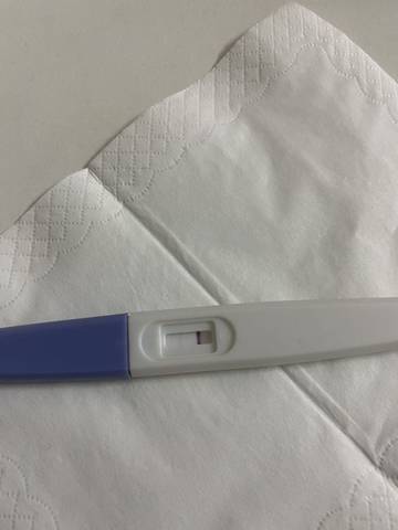 journal_insert_pic_1673134395