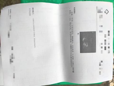 journal_insert_pic_1683175342