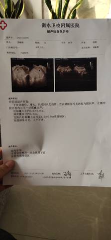 journal_insert_pic_1684176372