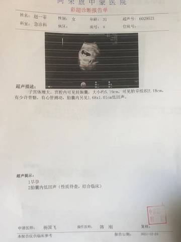 journal_insert_pic_1687285427