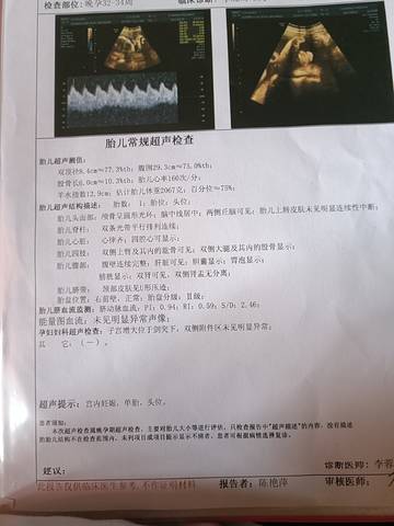 journal_insert_pic_1740986968