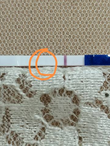 journal_insert_pic_1719686290