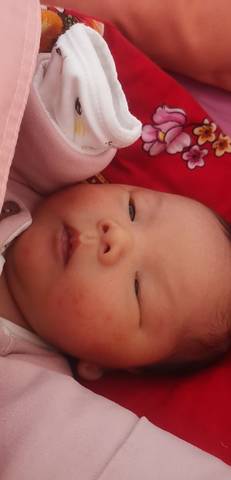 journal_insert_pic_1676322471