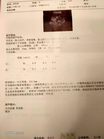 journal_insert_pic_1673082531