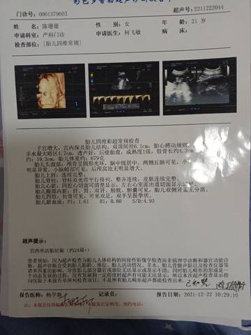 journal_insert_pic_1689133350