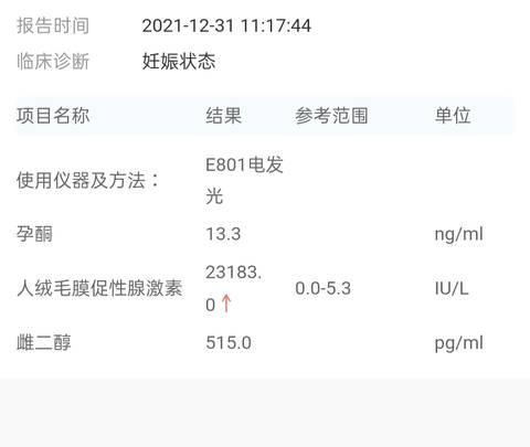 journal_insert_pic_1689597223