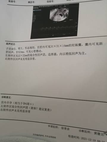 journal_insert_pic_1682413845