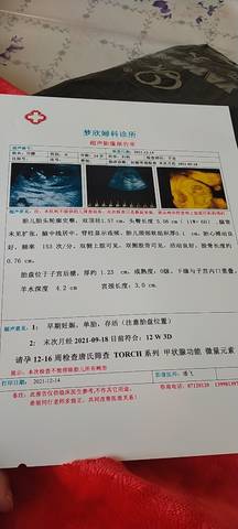 journal_insert_pic_1683853984