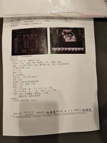journal_insert_pic_1740808358