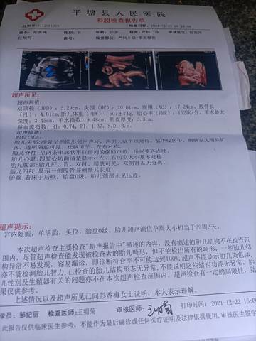 journal_insert_pic_1684271602
