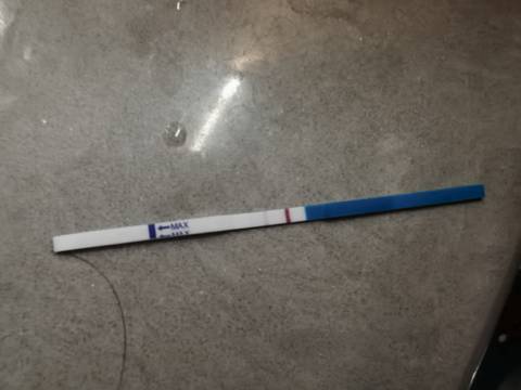 journal_insert_pic_1683477200