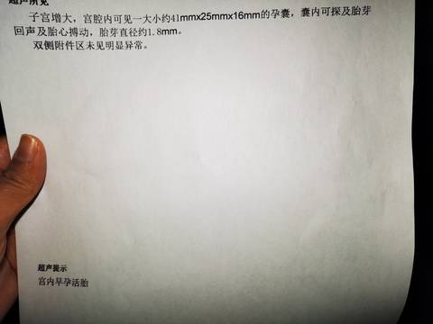 journal_insert_pic_1689760771