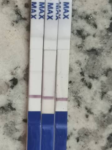 journal_insert_pic_1677793750