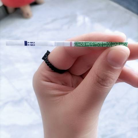 journal_insert_pic_1685449706