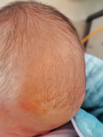 journal_insert_pic_1688999781