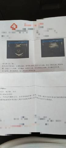 journal_insert_pic_1688314115