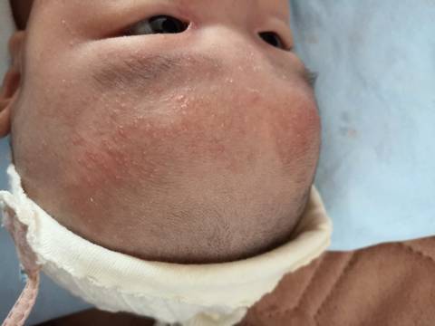 journal_insert_pic_1678578735