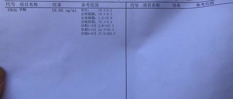 journal_insert_pic_1679831554