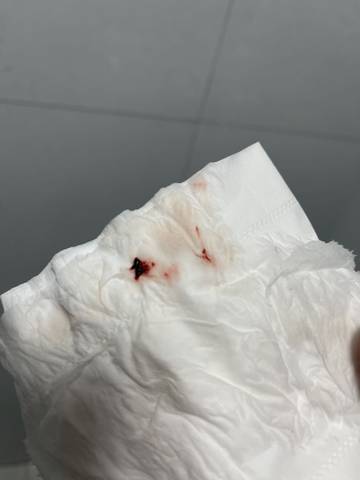 journal_insert_pic_1683141711