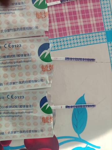 journal_insert_pic_1689389330