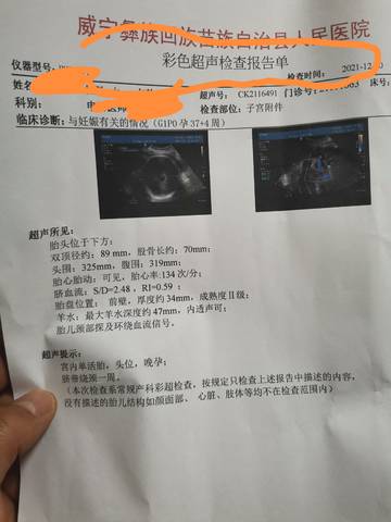 journal_insert_pic_1683008127