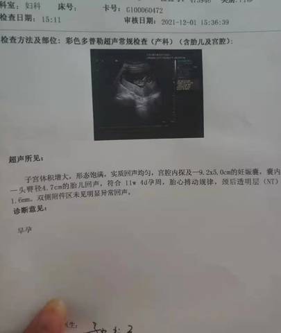 journal_insert_pic_1675941088