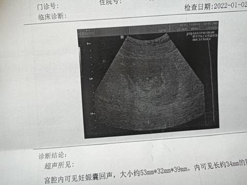 journal_insert_pic_1690584359