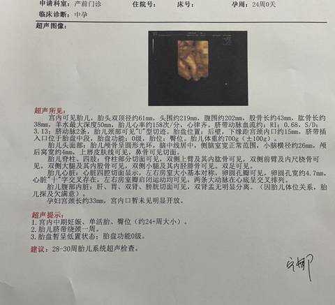 journal_insert_pic_1681910149