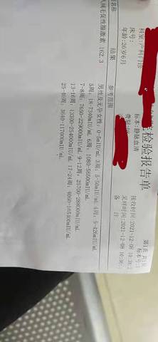 journal_insert_pic_1678217931