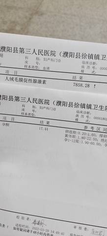 journal_insert_pic_1740992761