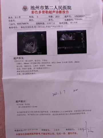journal_insert_pic_1685133275