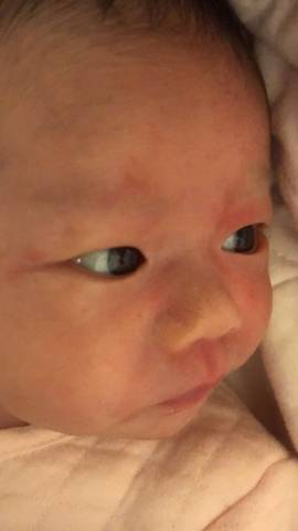 journal_insert_pic_1674468784