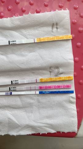 journal_insert_pic_1685761748