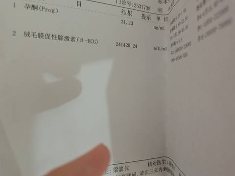 journal_insert_pic_1682340356