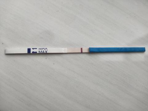 journal_insert_pic_1679233200