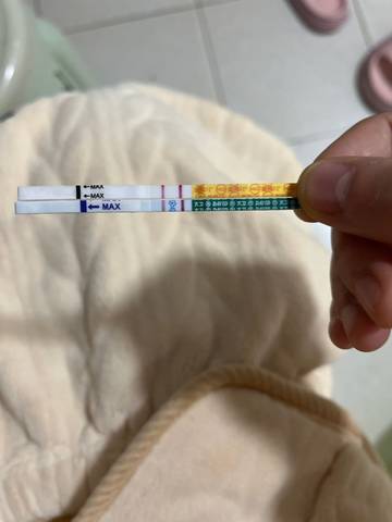 journal_insert_pic_1681315418